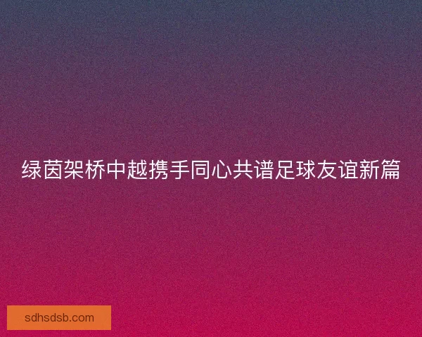 绿茵架桥中越携手同心共谱足球友谊新篇